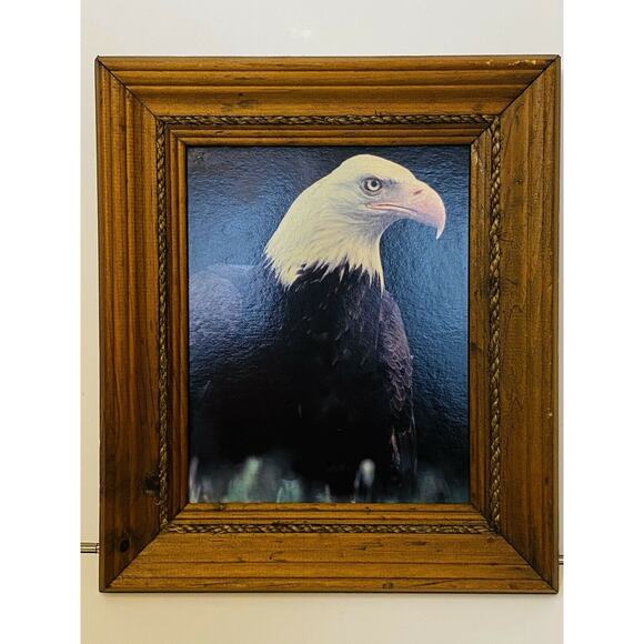 American Bald Eagle Print Art Decor In Rustic Vintage Wood Frame 13.5"X 11.5" - Picture 1 of 4